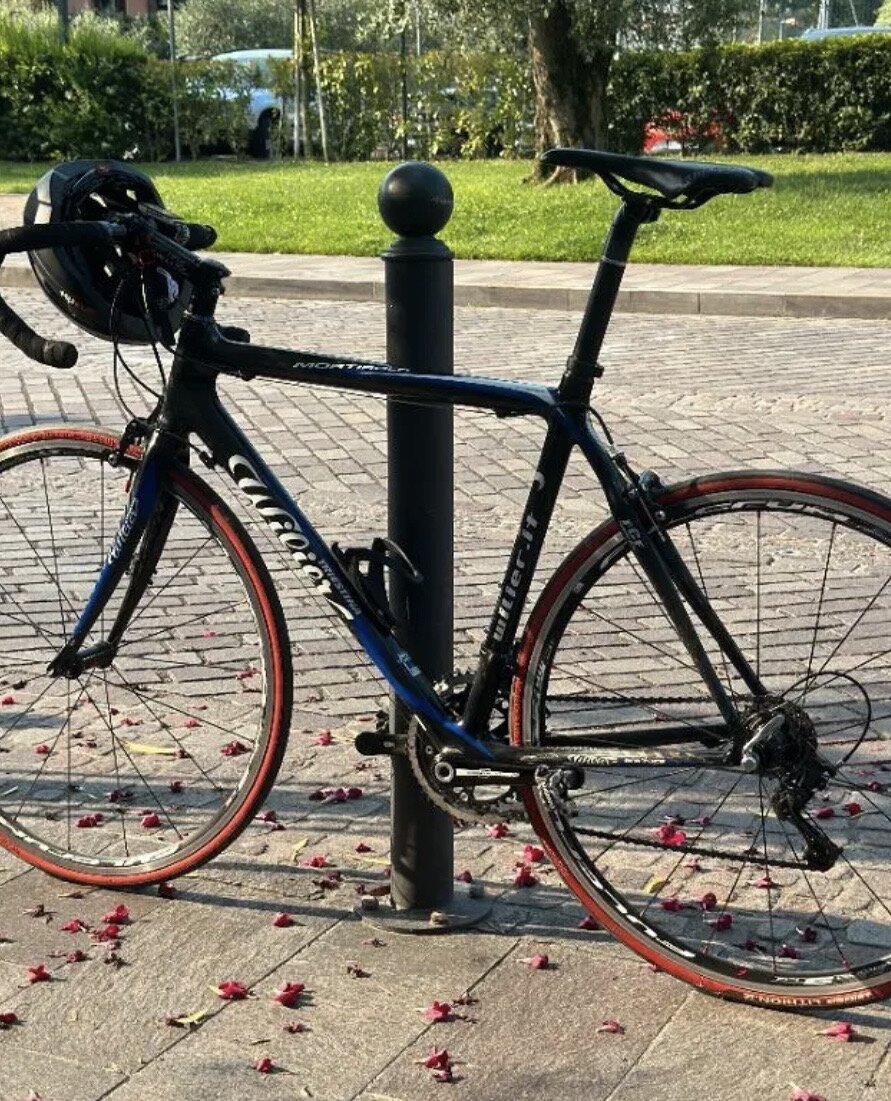 Cerca bicicletta Wilier Triestina usata o km0
