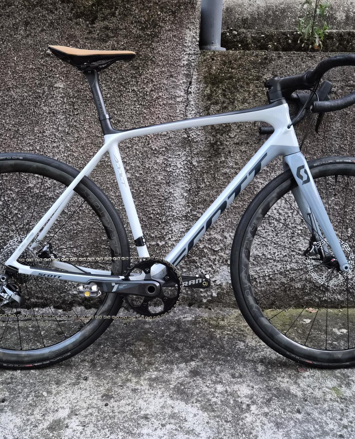 Cerca bicicletta Scott usata o km0