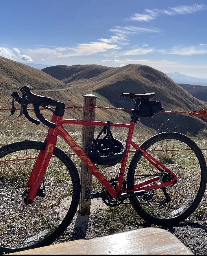 Cerca bicicletta Scott usata o km0