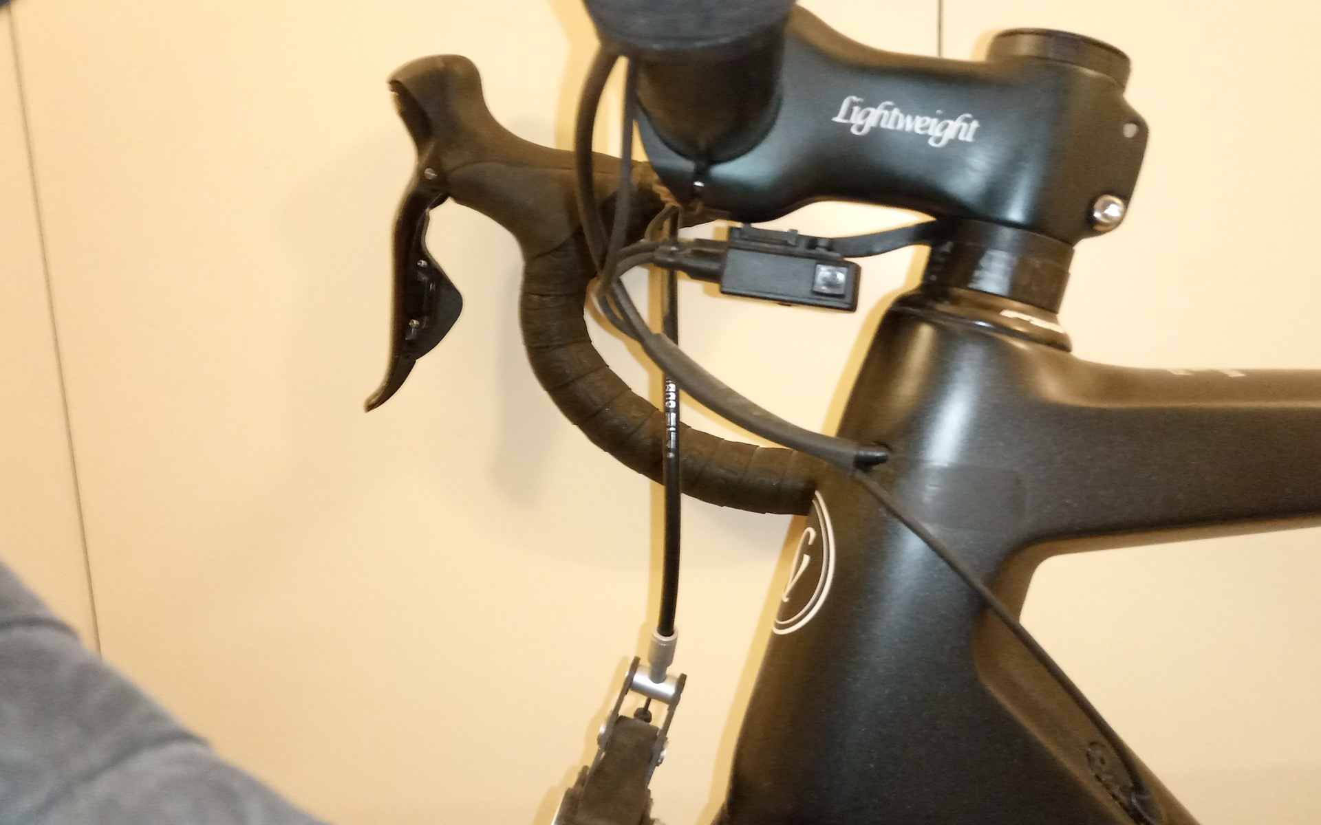 Bici da corsa LIGTHWEIGHT URGESTALT, Usata, 2021, Grosseto