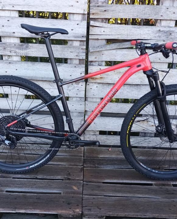 Biciclette in Italia - Vendi, noleggia, trova bici su BIKEEN