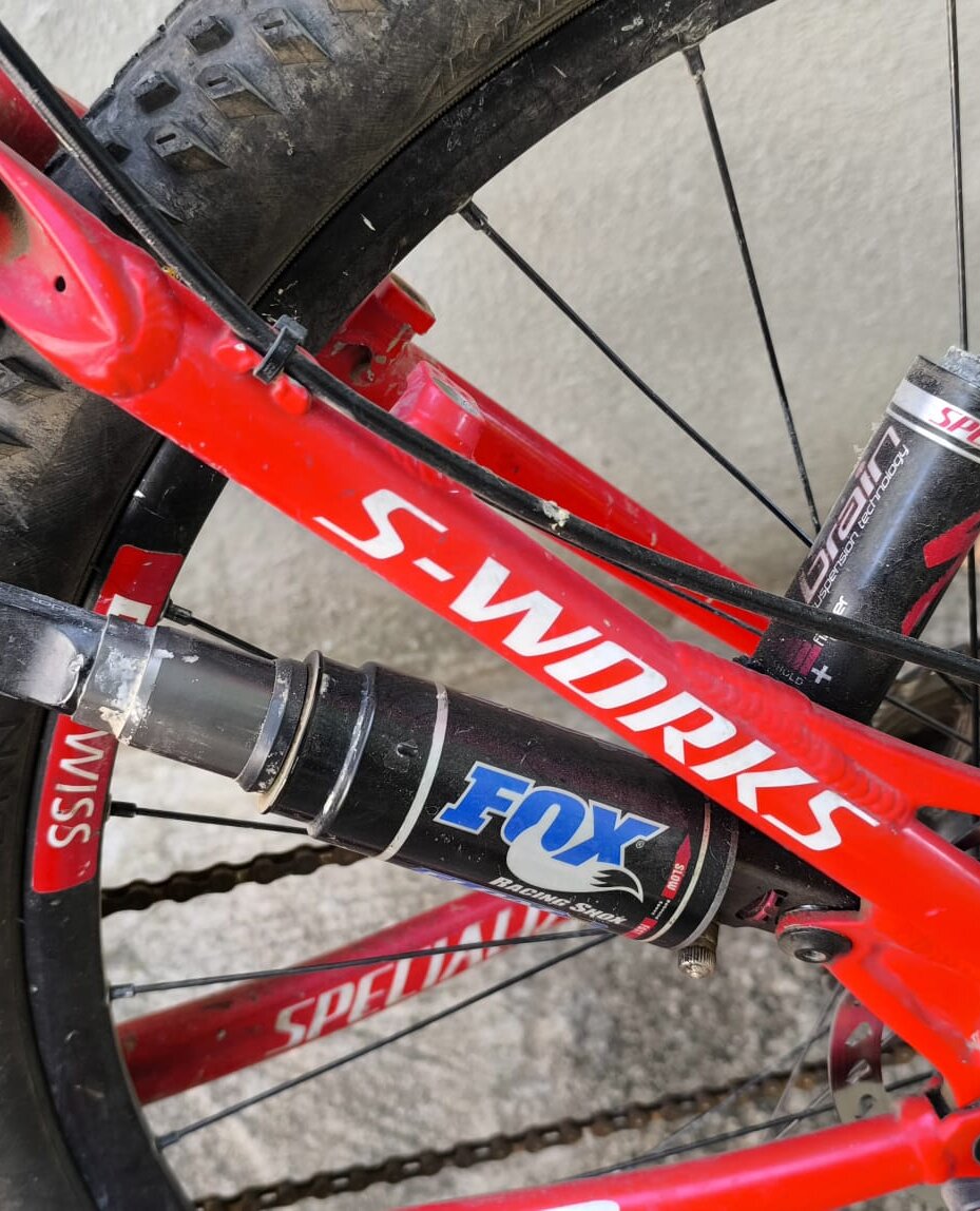 Cerca bicicletta Specialized usata o km0