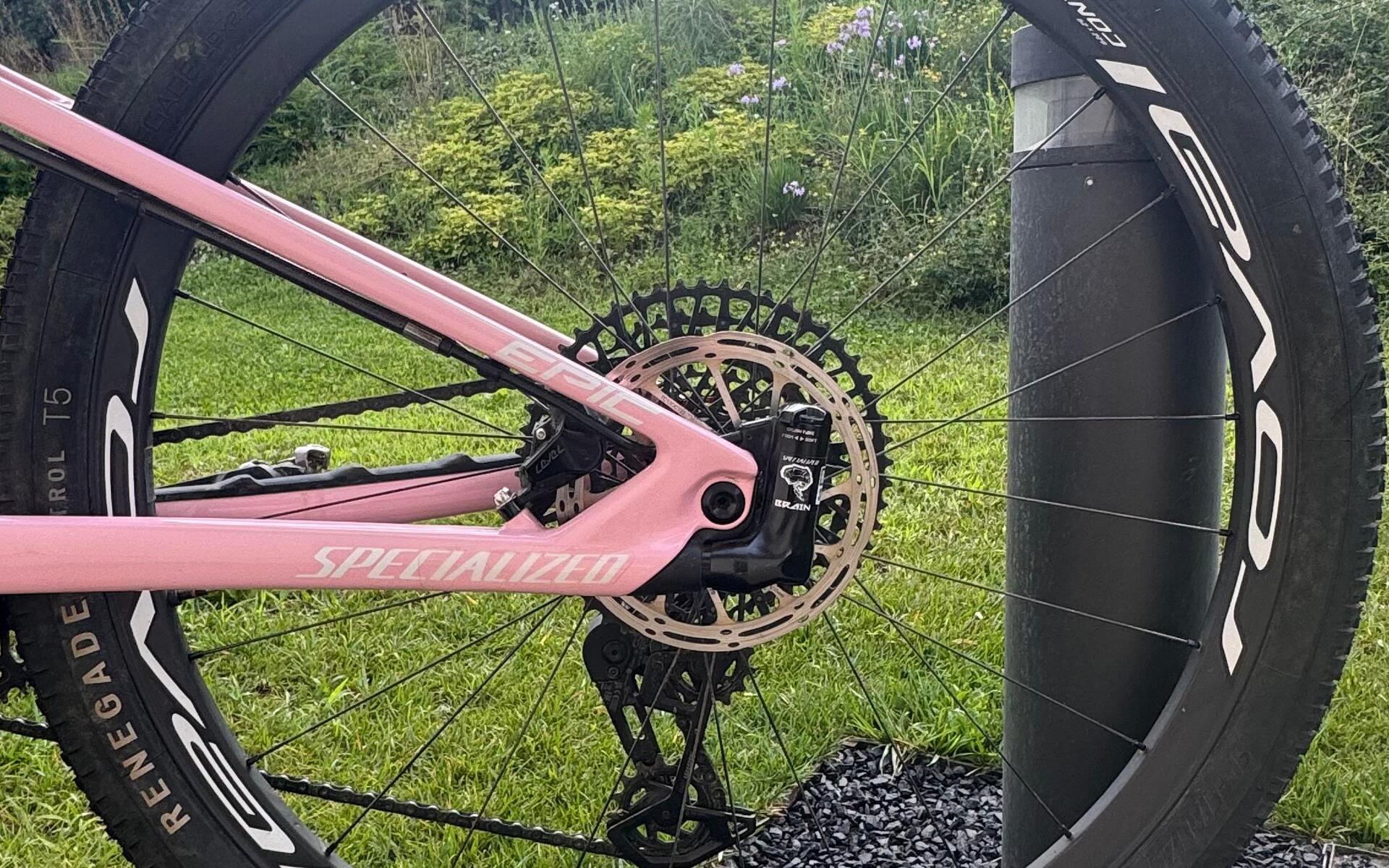 Mountain Bike Specialized Epic, Usata, 2023, Vicenza