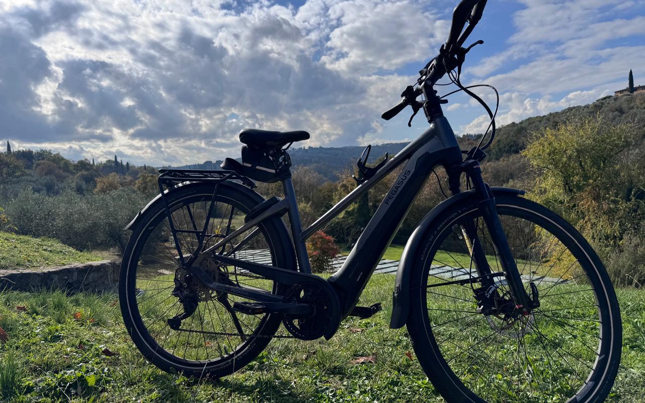 E-Bike Pegasus Premio EVO 10 lite, Usata, 2023, 2024, Firenze