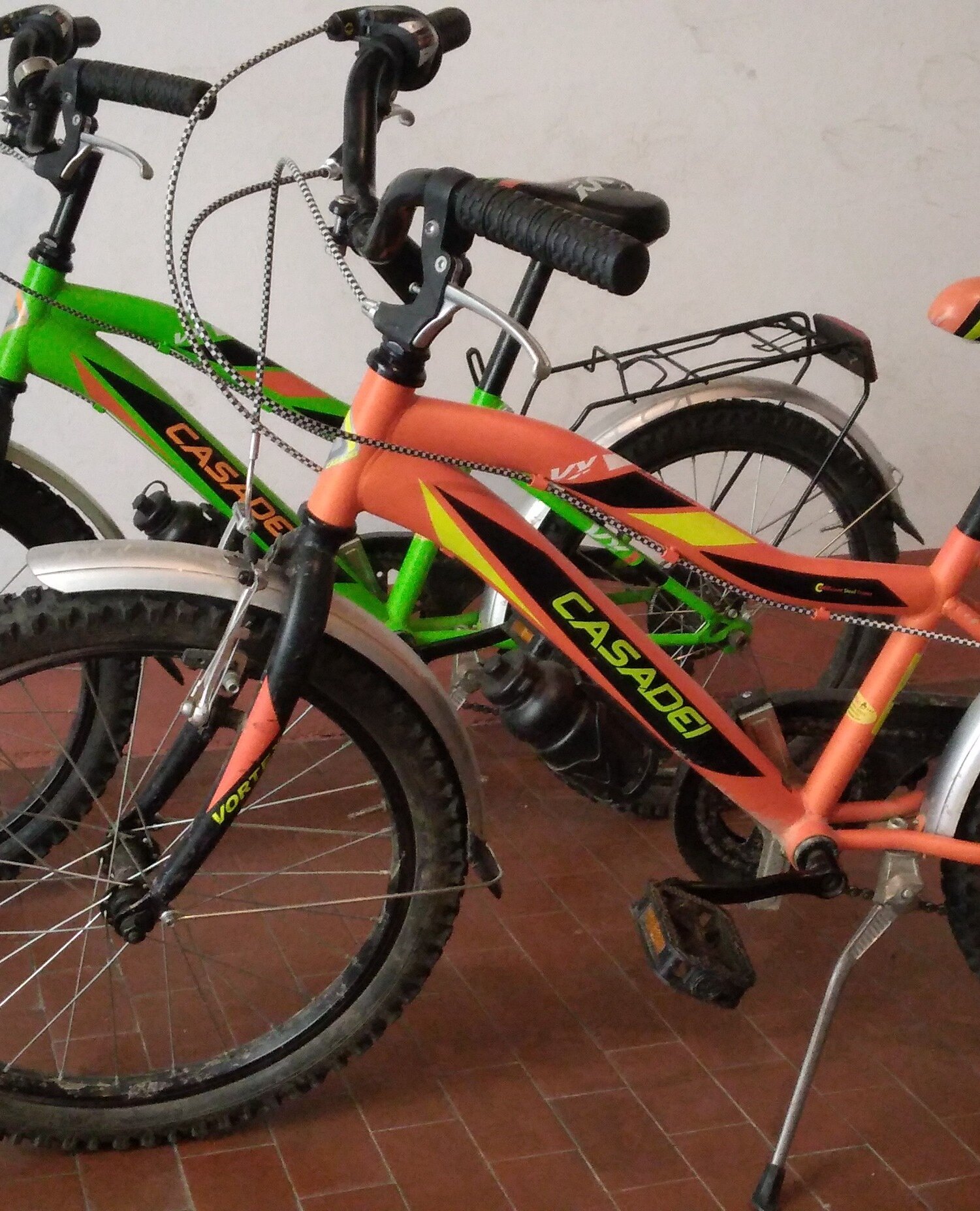Cerca bicicletta Casadei usata o km0