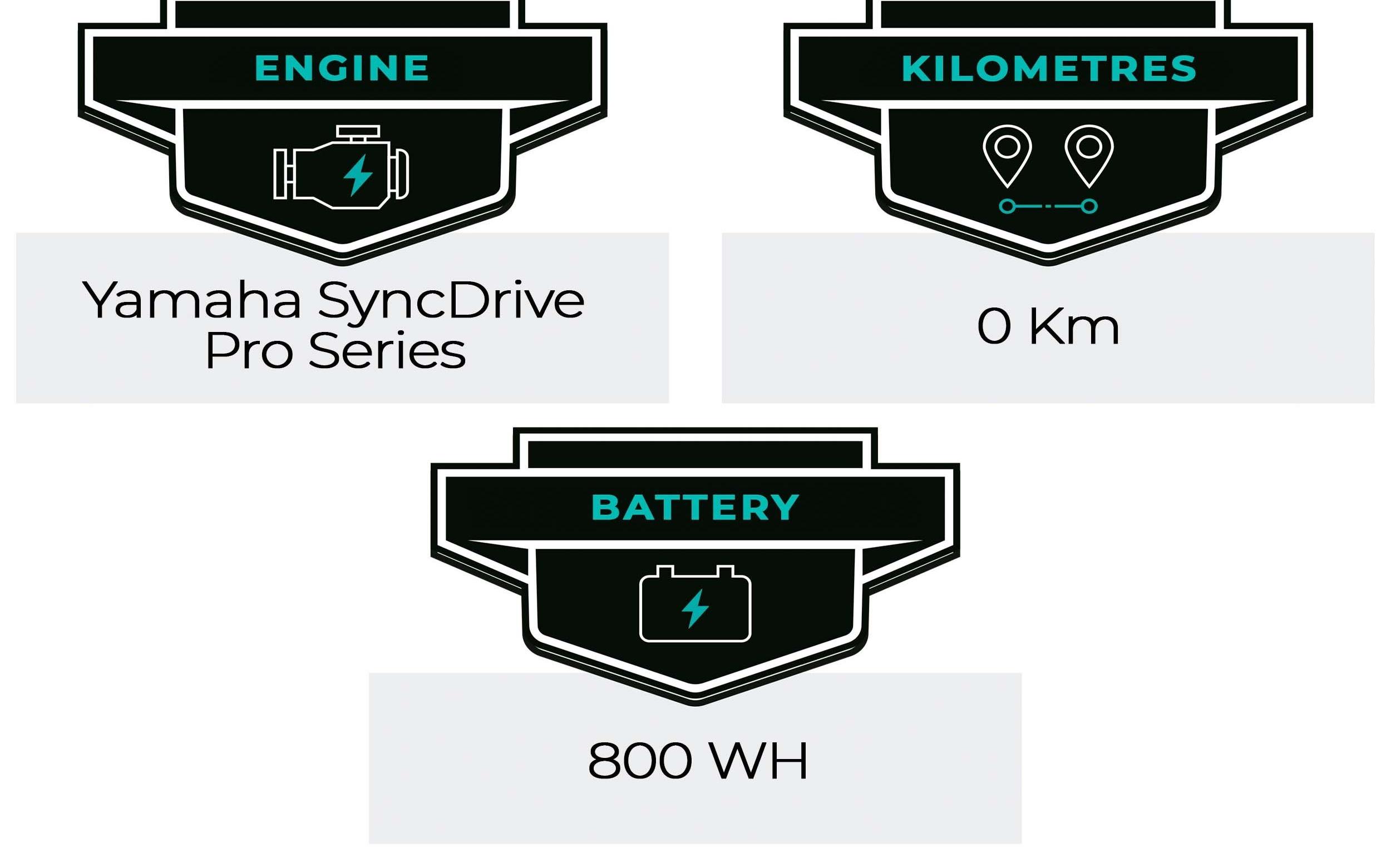 E-Bike Giant Zyclora ·  Trance X E+ LTD Carbonio X01 AXS, Usata, 2023, Barcelona