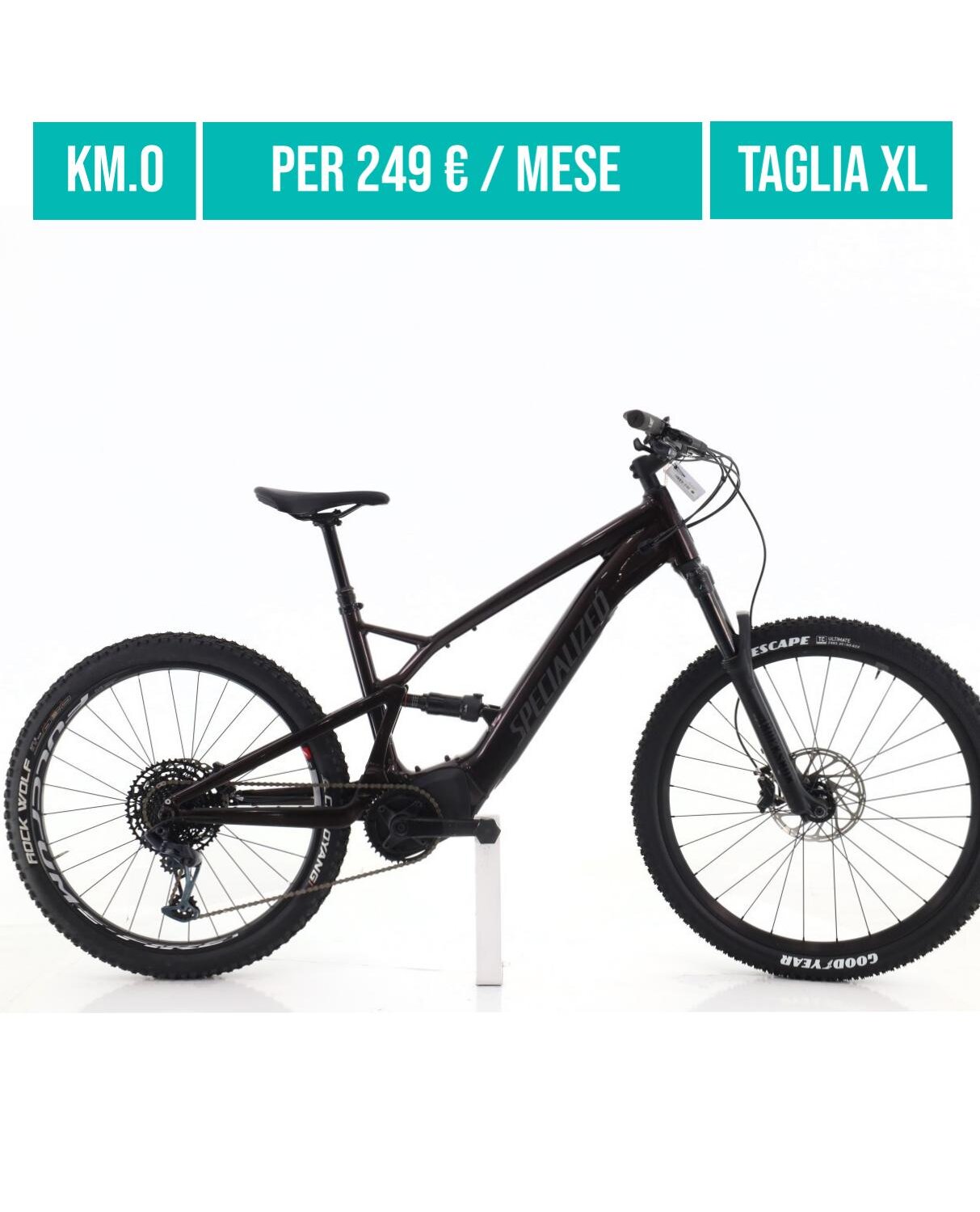 Cerca bicicletta Specialized usata o km0