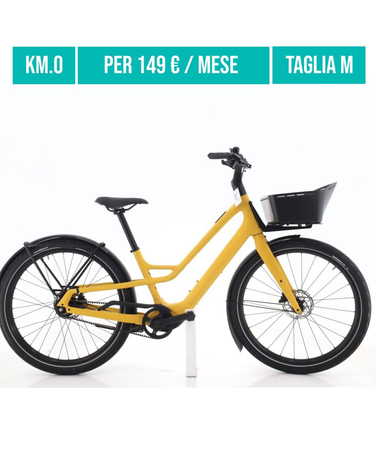 Cerca bicicletta Specialized usata o km0