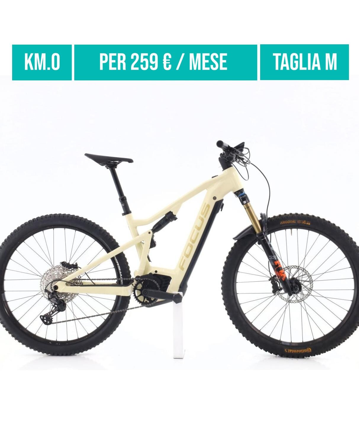 Cerca bicicletta Focus usata o km0