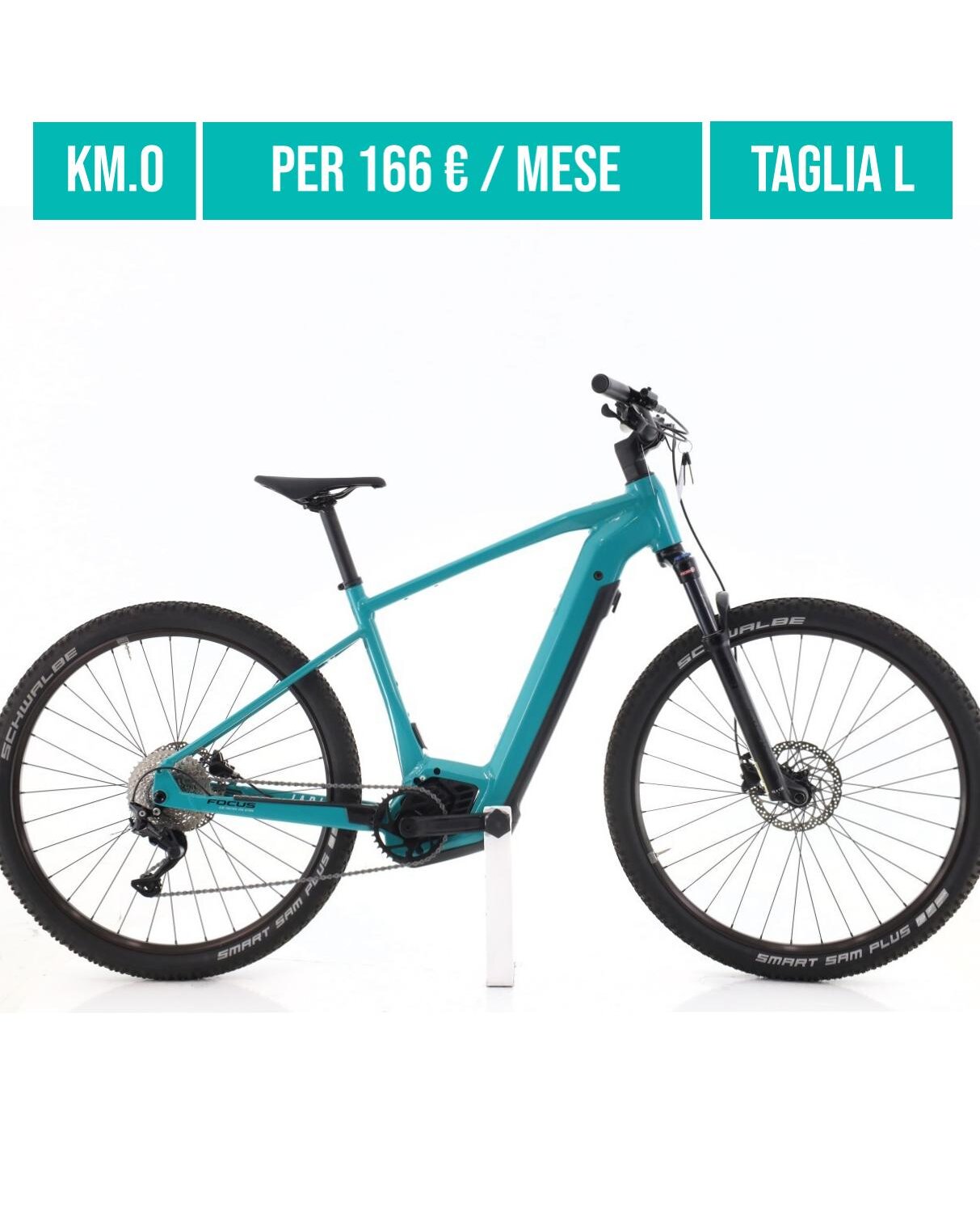 Cerca bicicletta Focus usata o km0