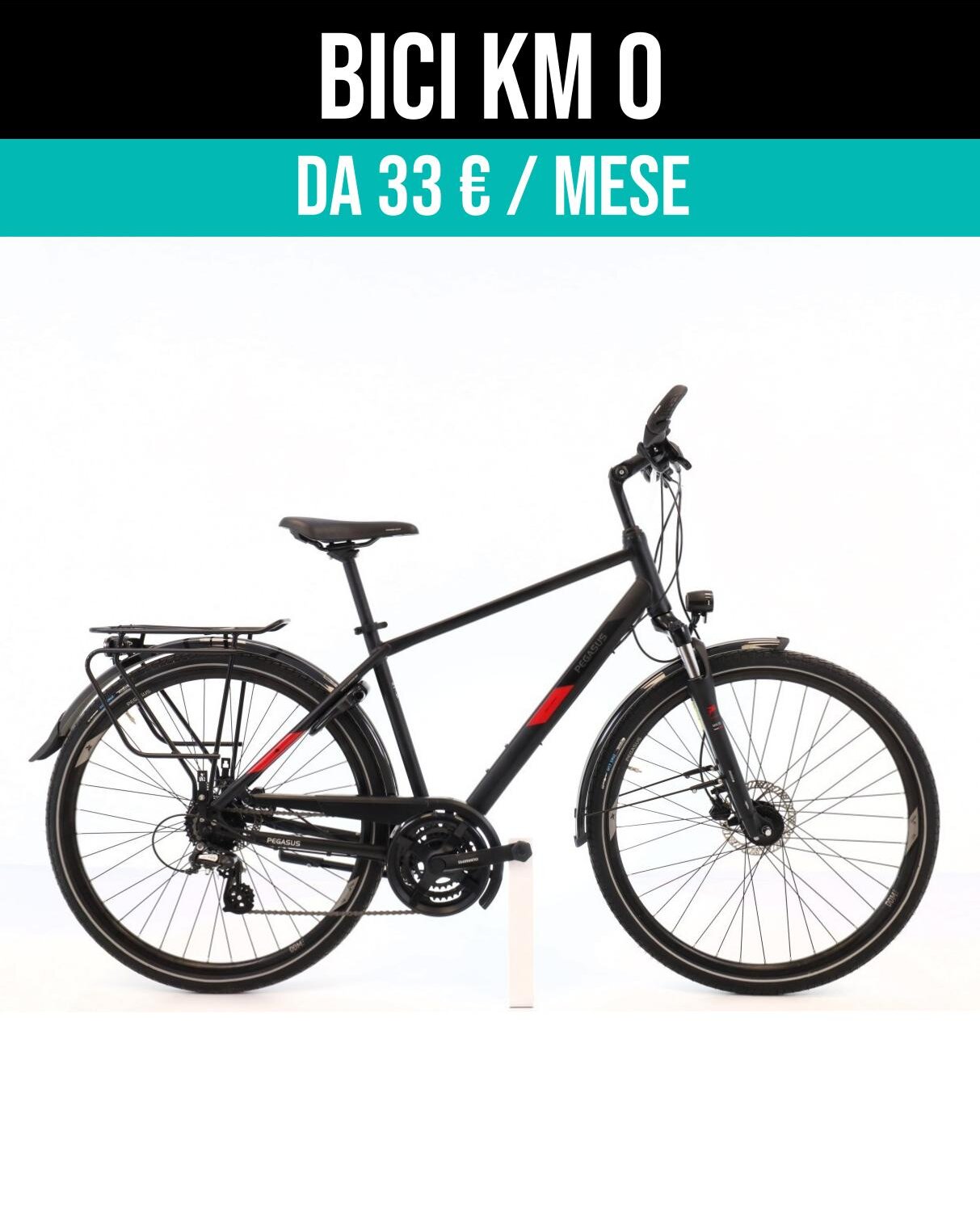 Cerca bicicletta Pegasus usata o km0