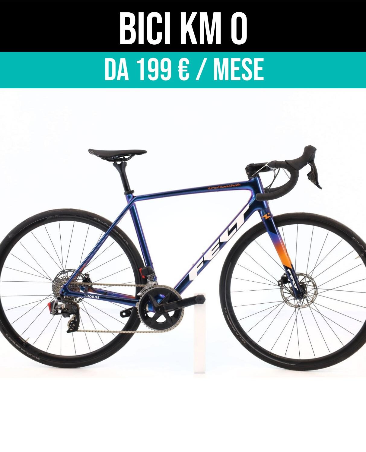 Cerca bicicletta Felt usata o km0