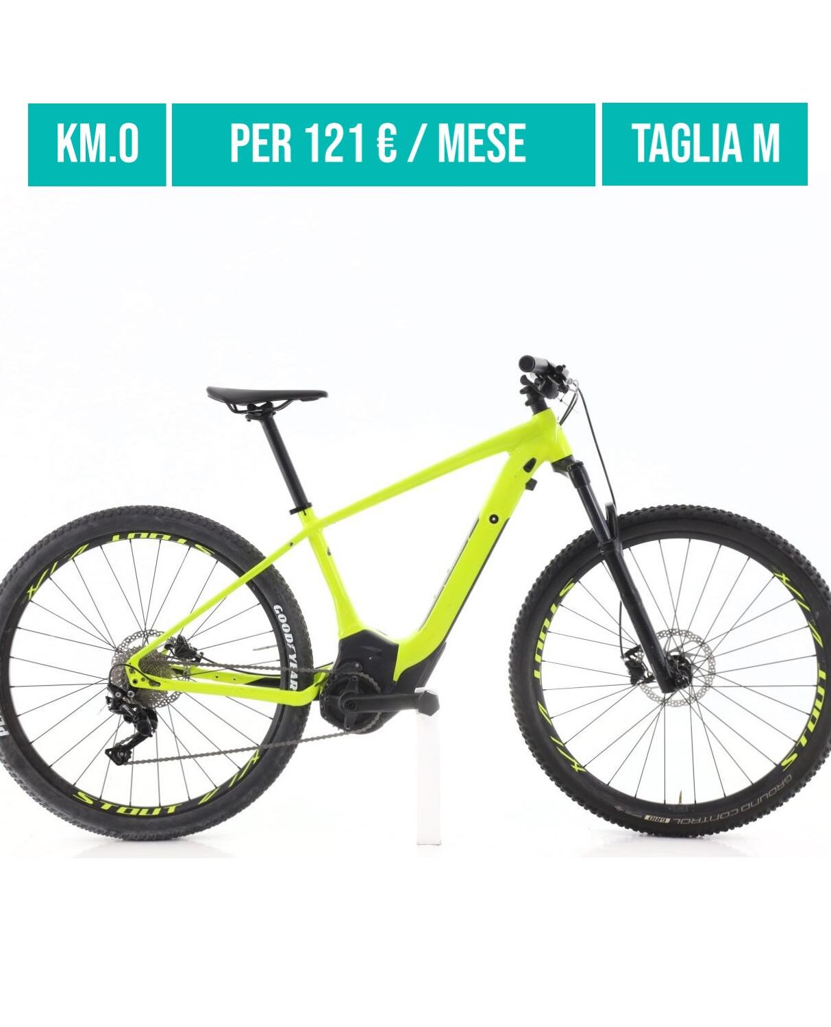 Cerca bicicletta Specialized usata o km0