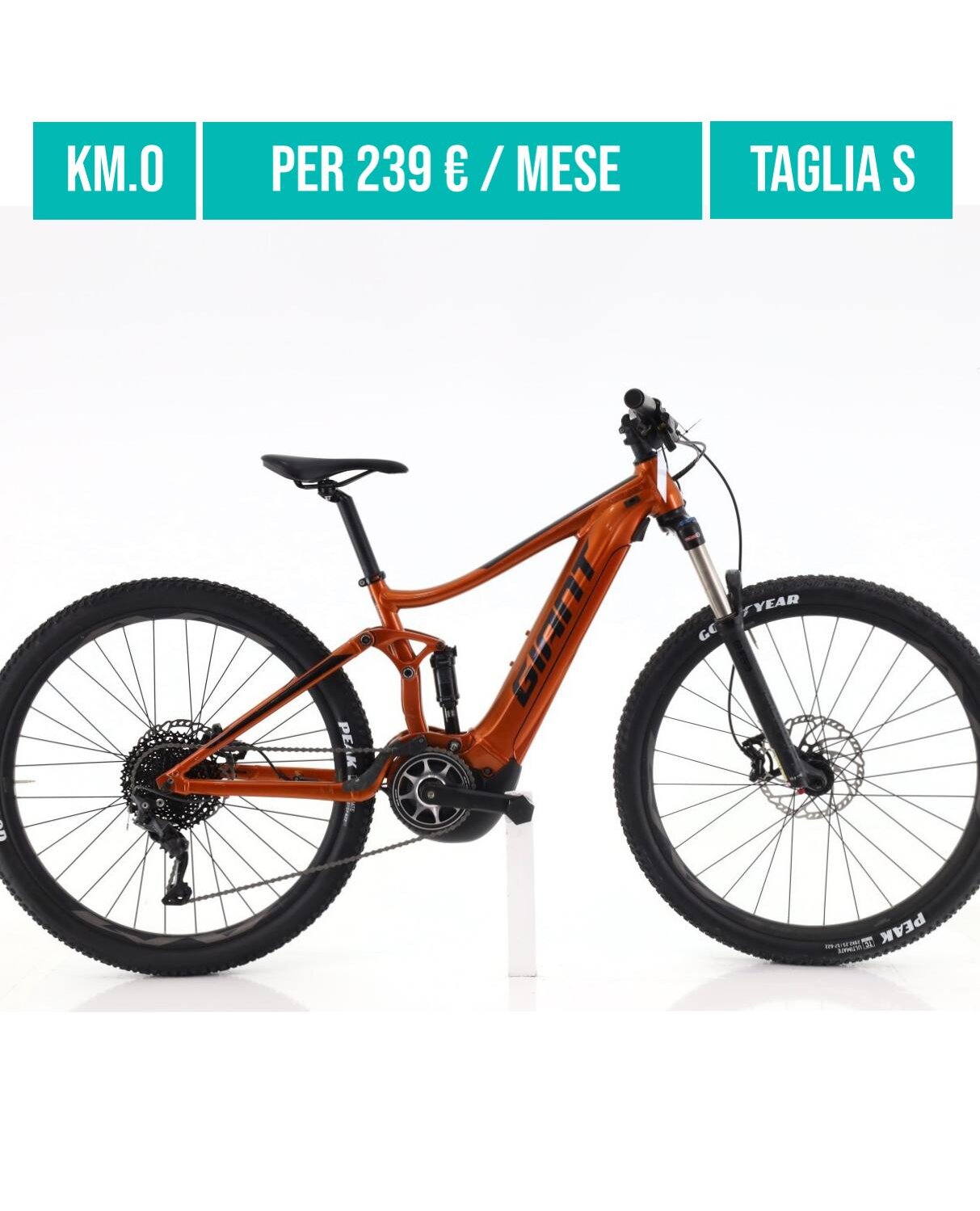 Cerca bicicletta Giant usata o km0