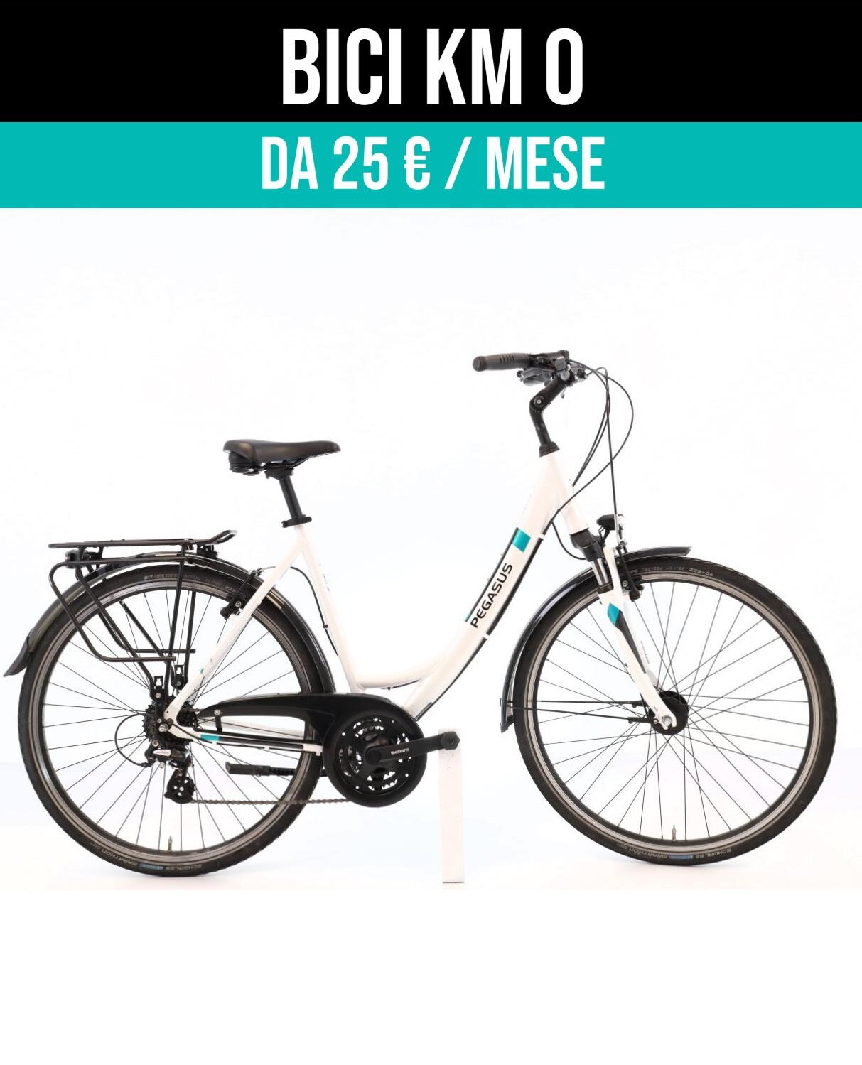 Cerca bicicletta Pegasus usata o km0