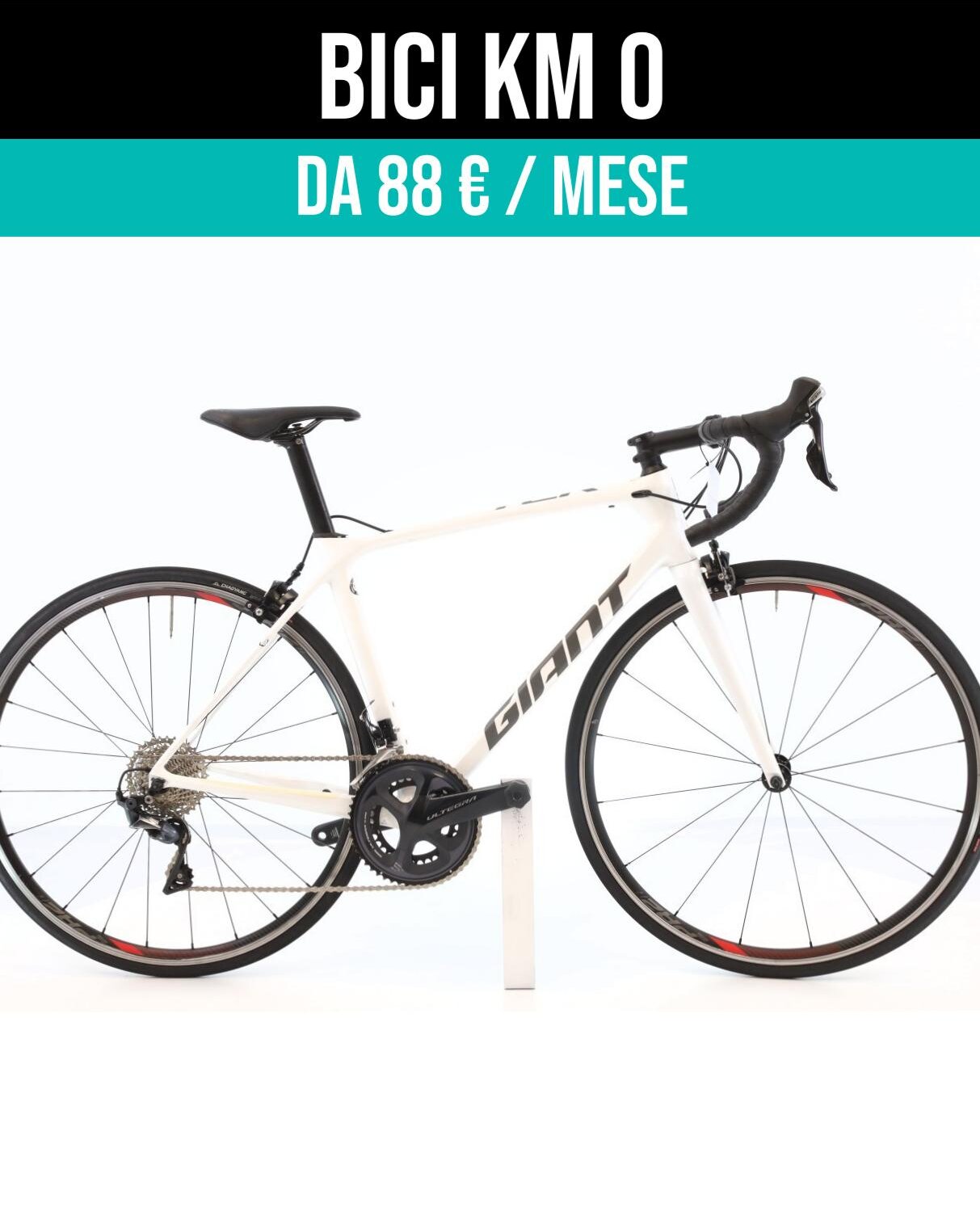 Cerca bicicletta Giant usata o km0