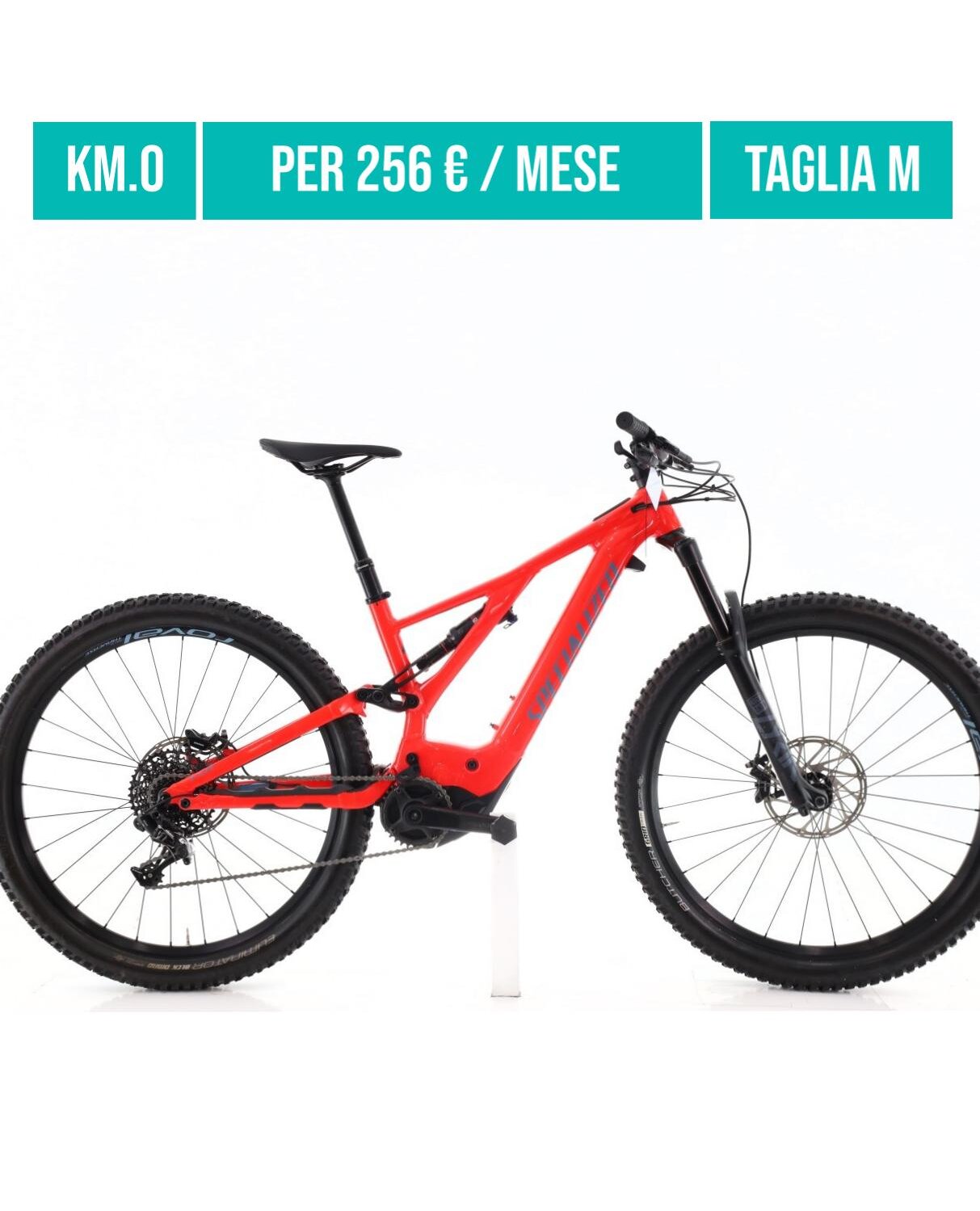 Cerca bicicletta Specialized usata o km0