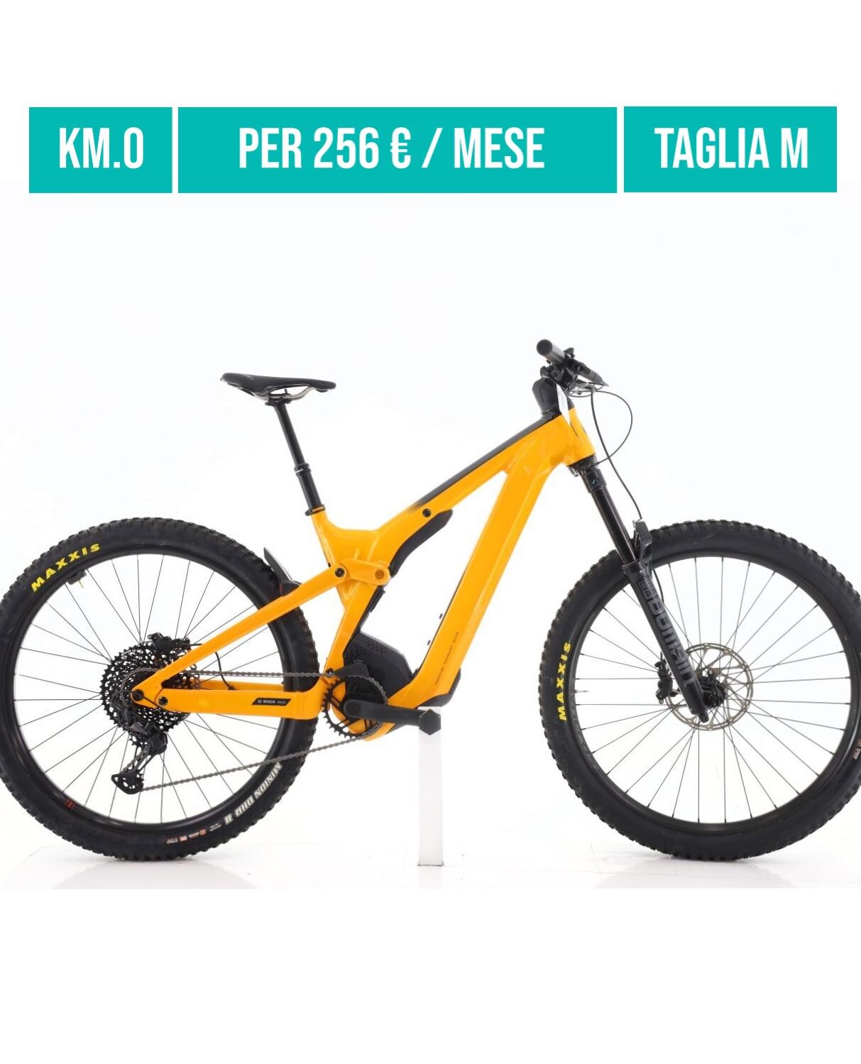 Cerca bicicletta Scott usata o km0