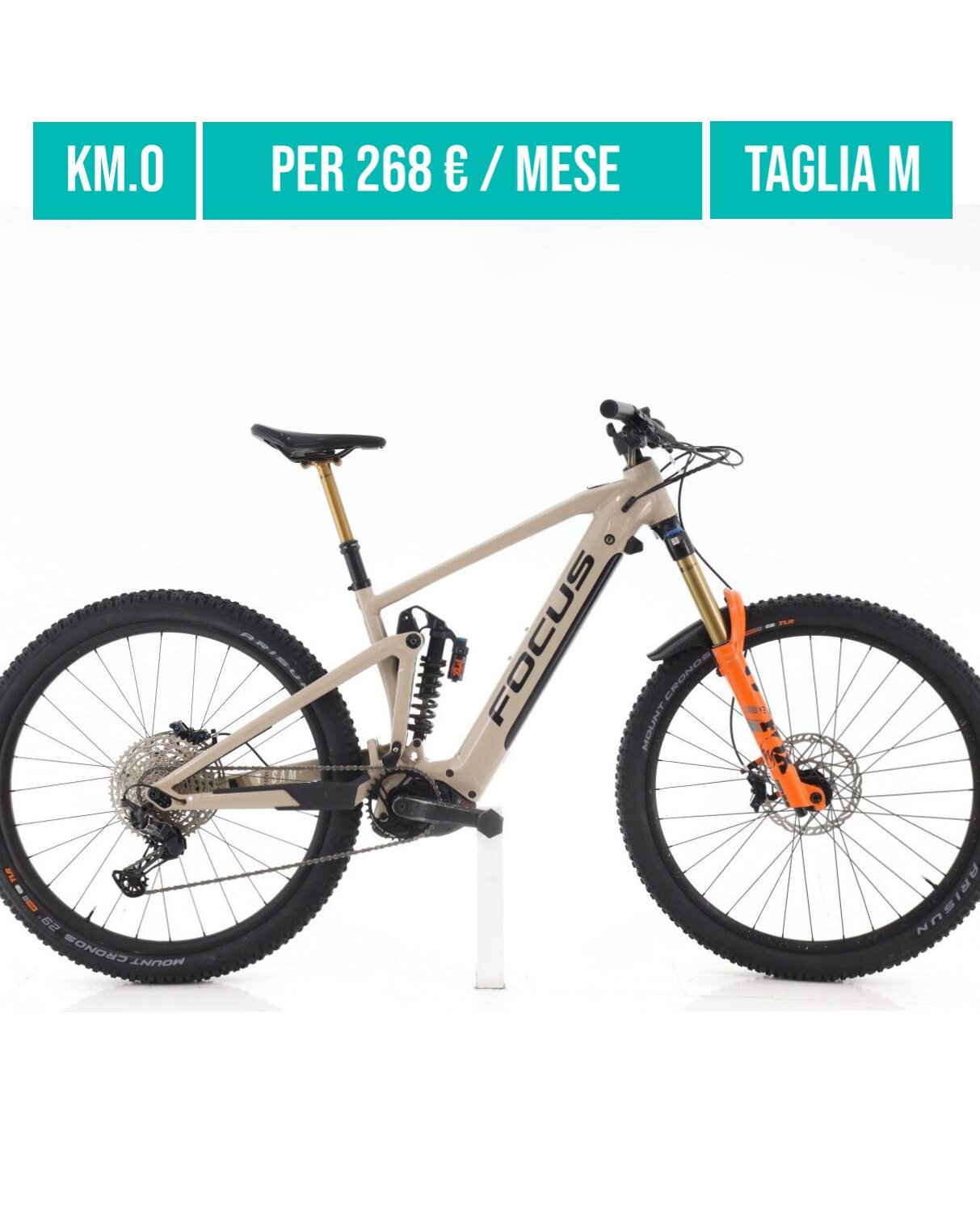 Cerca bicicletta Focus usata o km0