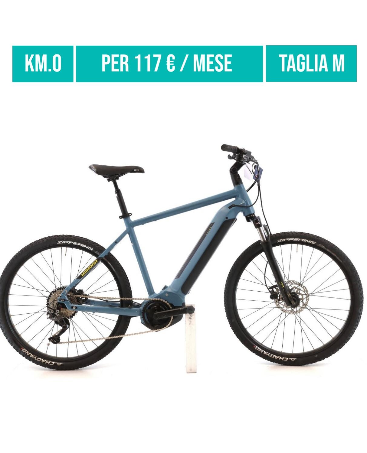Cerca bicicletta Focus usata o km0