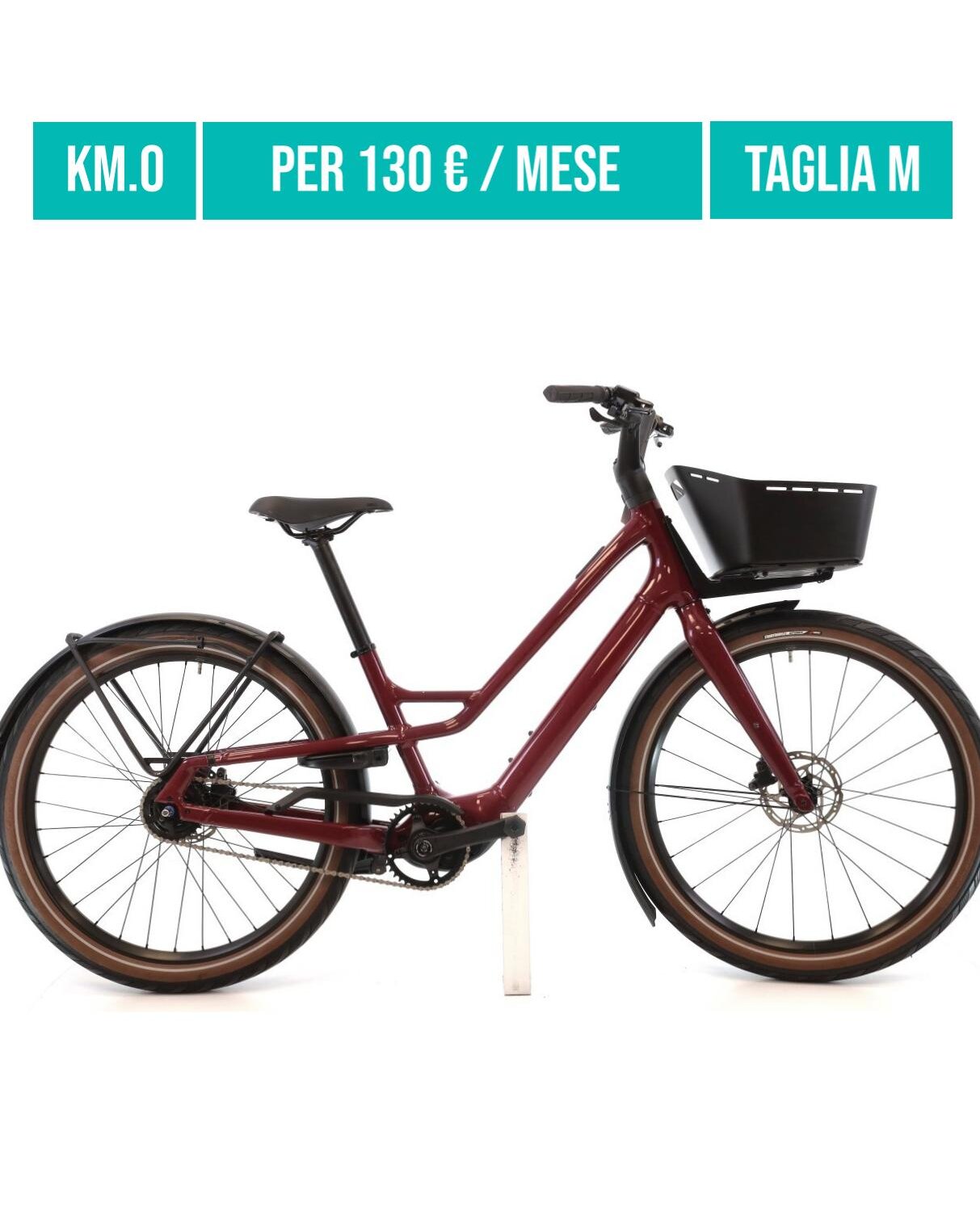 Cerca bicicletta Specialized usata o km0