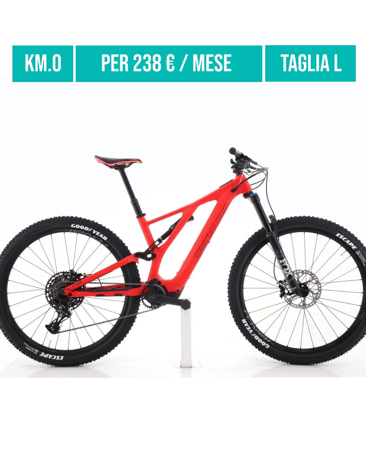 Cerca bicicletta Specialized usata o km0