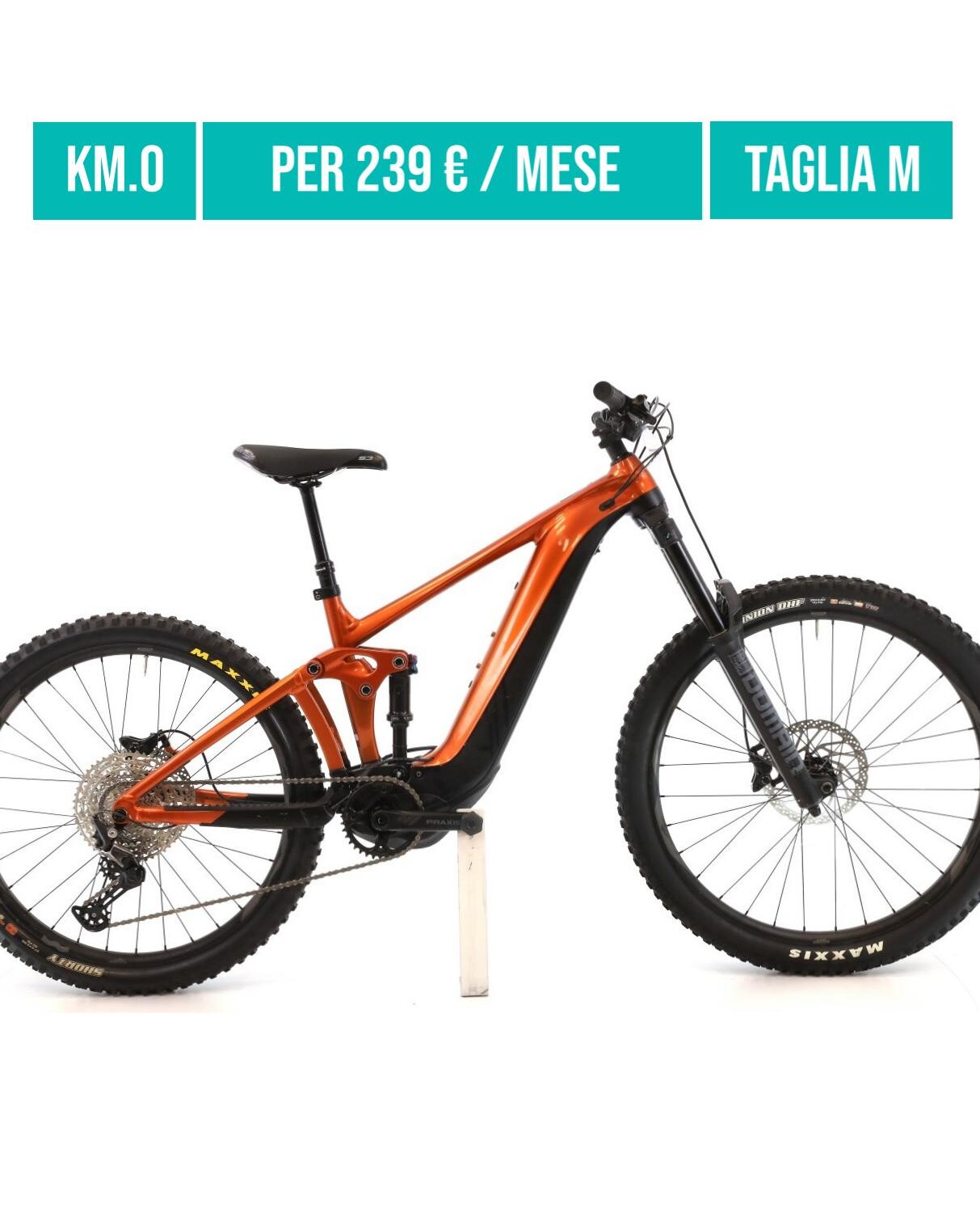 Cerca bicicletta Giant usata o km0
