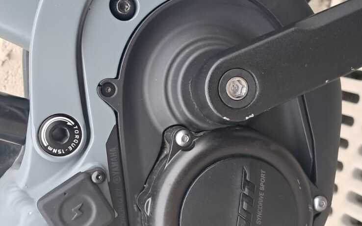 E-Bike Giant Embolden E+2, Usata, 2021, Ferrara