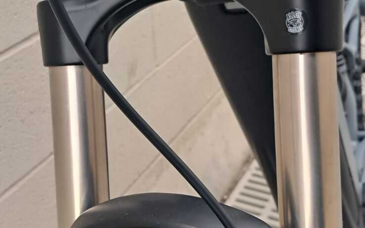 E-Bike Giant Embolden E+2, Usata, 2021, Ferrara