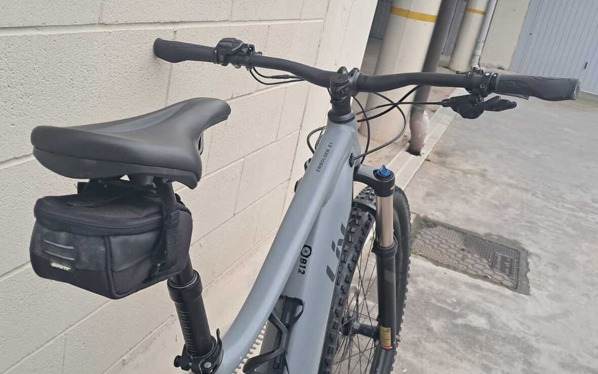 E-Bike Giant Embolden E+2, Usata, 2021, Ferrara