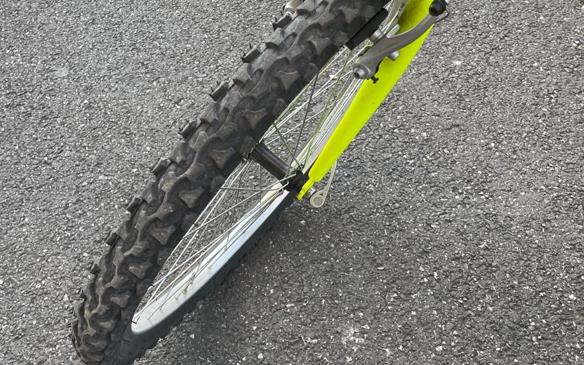 Mountain Bike Casadei Stark Rigida, Usata, 2024, Pisa