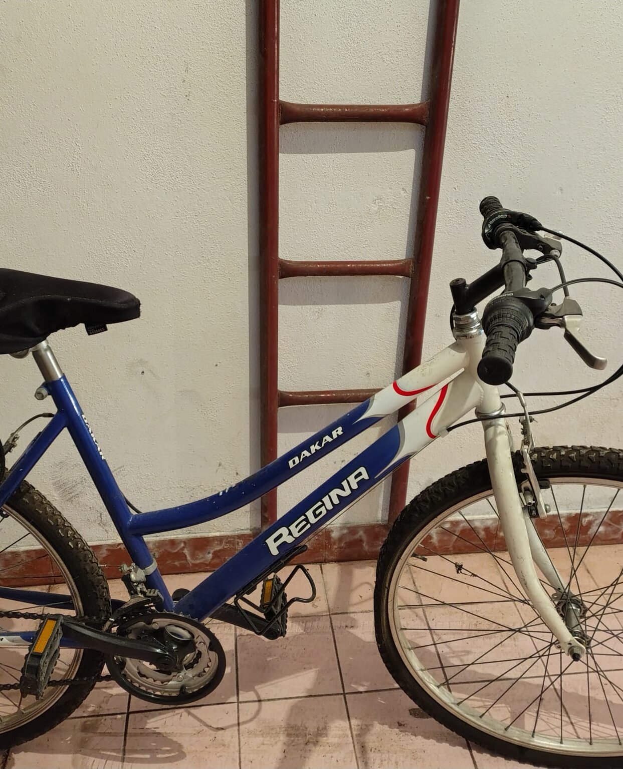 Cerca bicicletta Decathlon usata o km0