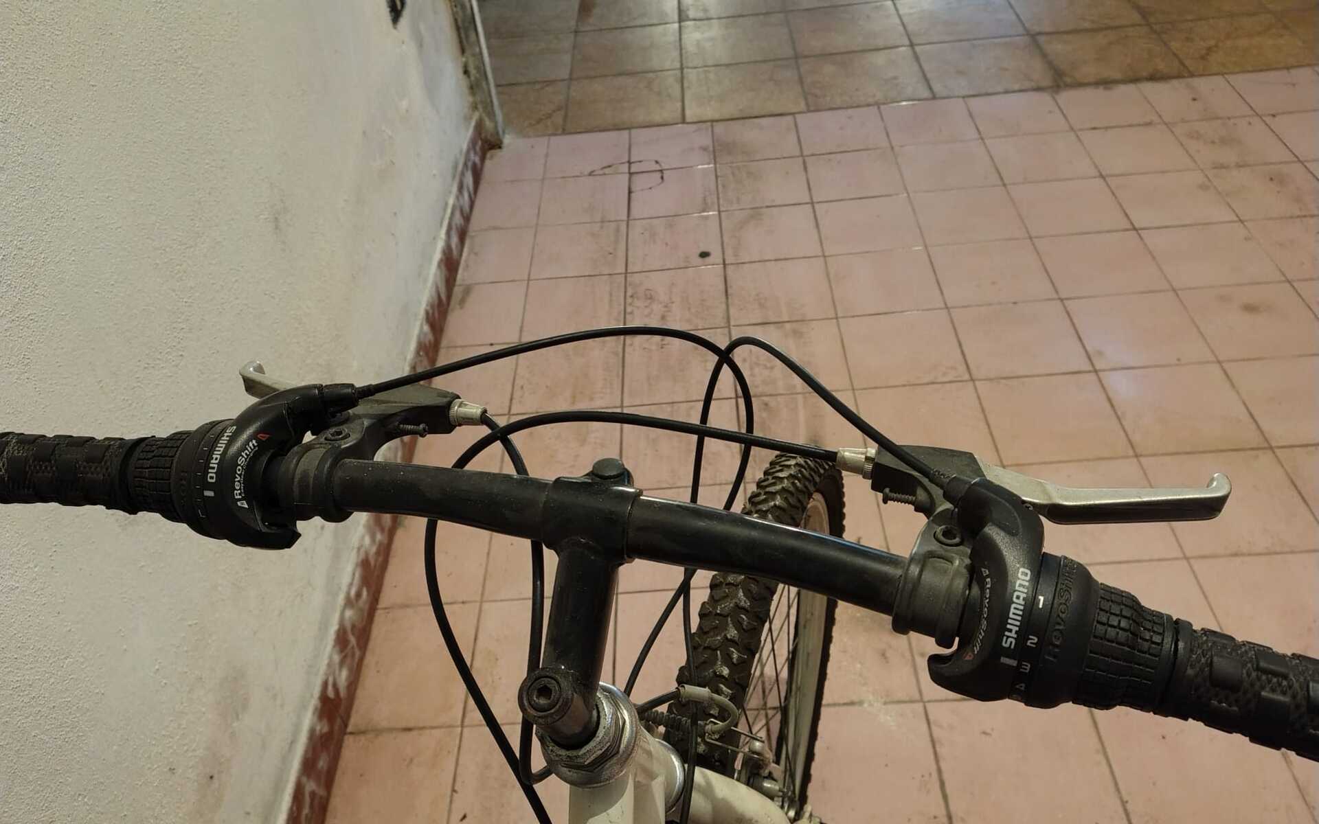 Mountain Bike Decathlon Regina Dakar, Usata, Decennio 1990, Roma