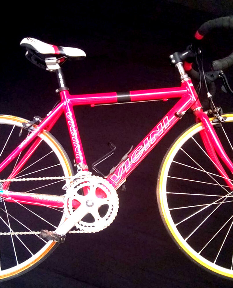 Cerca bicicletta Vicini usata o km0