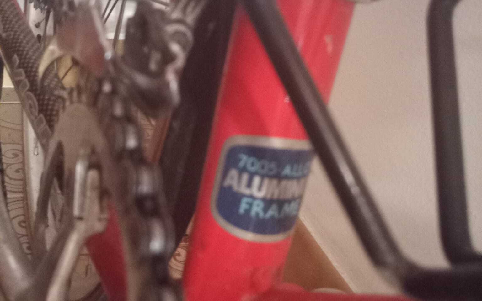 Bici da corsa Vicini Giovanissimi, Usata, 2014, Torino