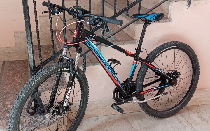 Mountain Bike Adriatica Wing rx 29, Usata, 2022, Caltanissetta