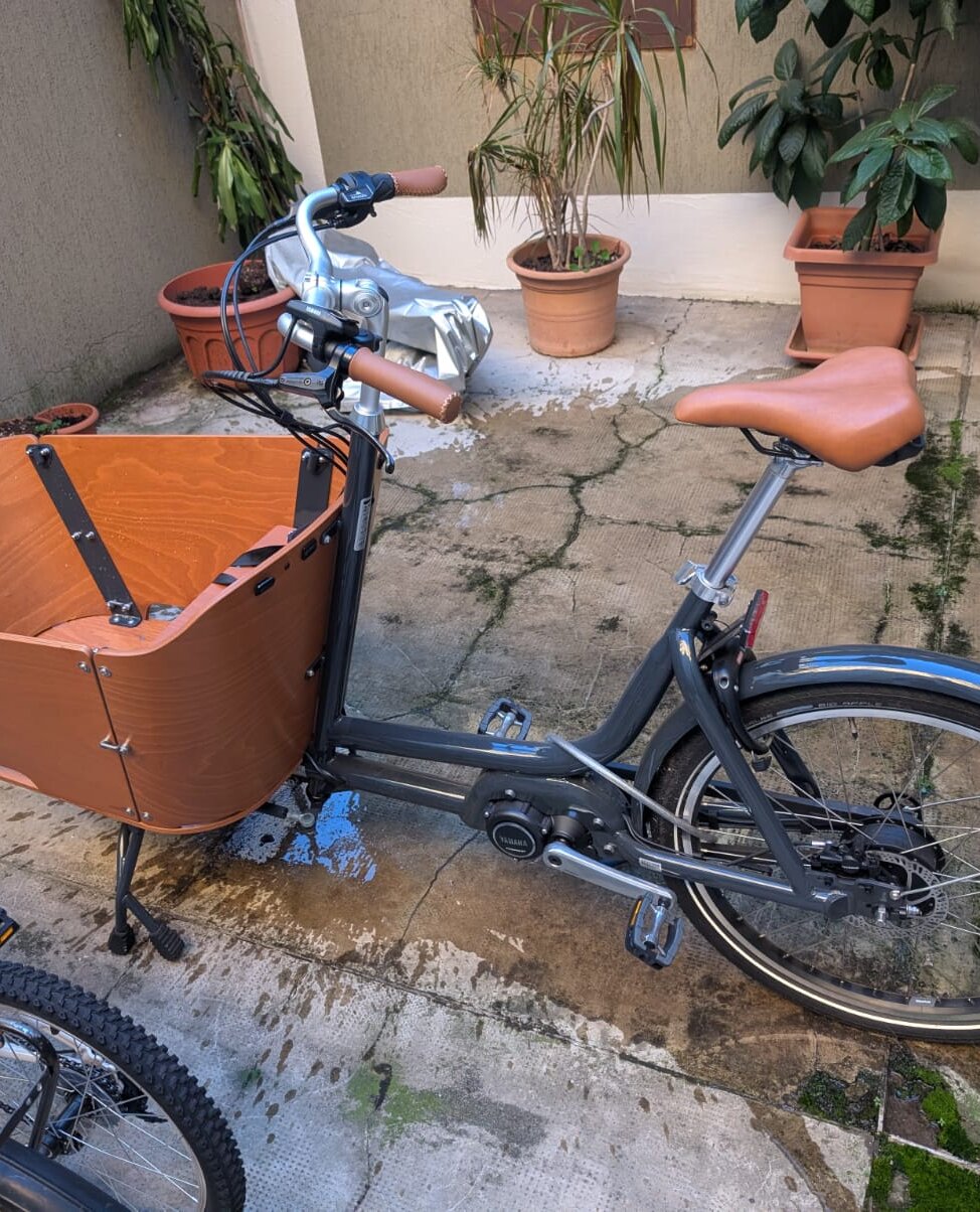 Cerca bicicletta Babboe usata o km0