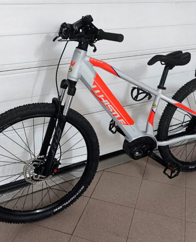 Cerca bicicletta Whistle usata o km0