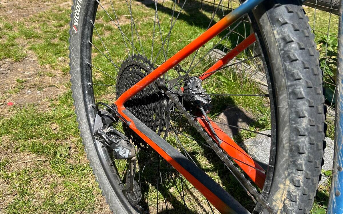 Mountain Bike Cannondale FSI Carbonio, Usata, 2021, Treviso