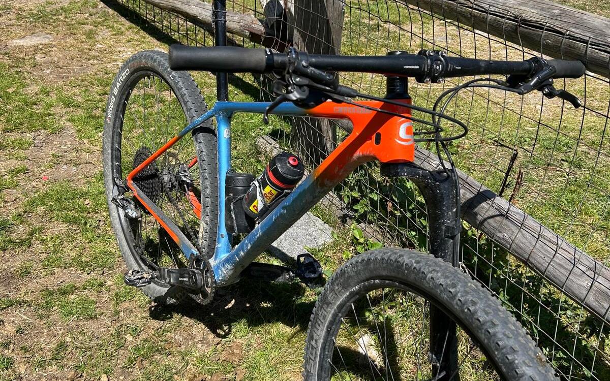 Mountain Bike Cannondale FSI Carbonio, Usata, 2021, Treviso