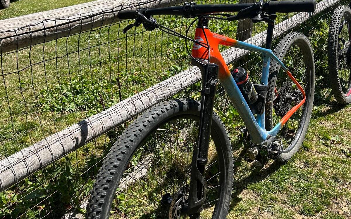 Mountain Bike Cannondale FSI Carbonio, Usata, 2021, Treviso