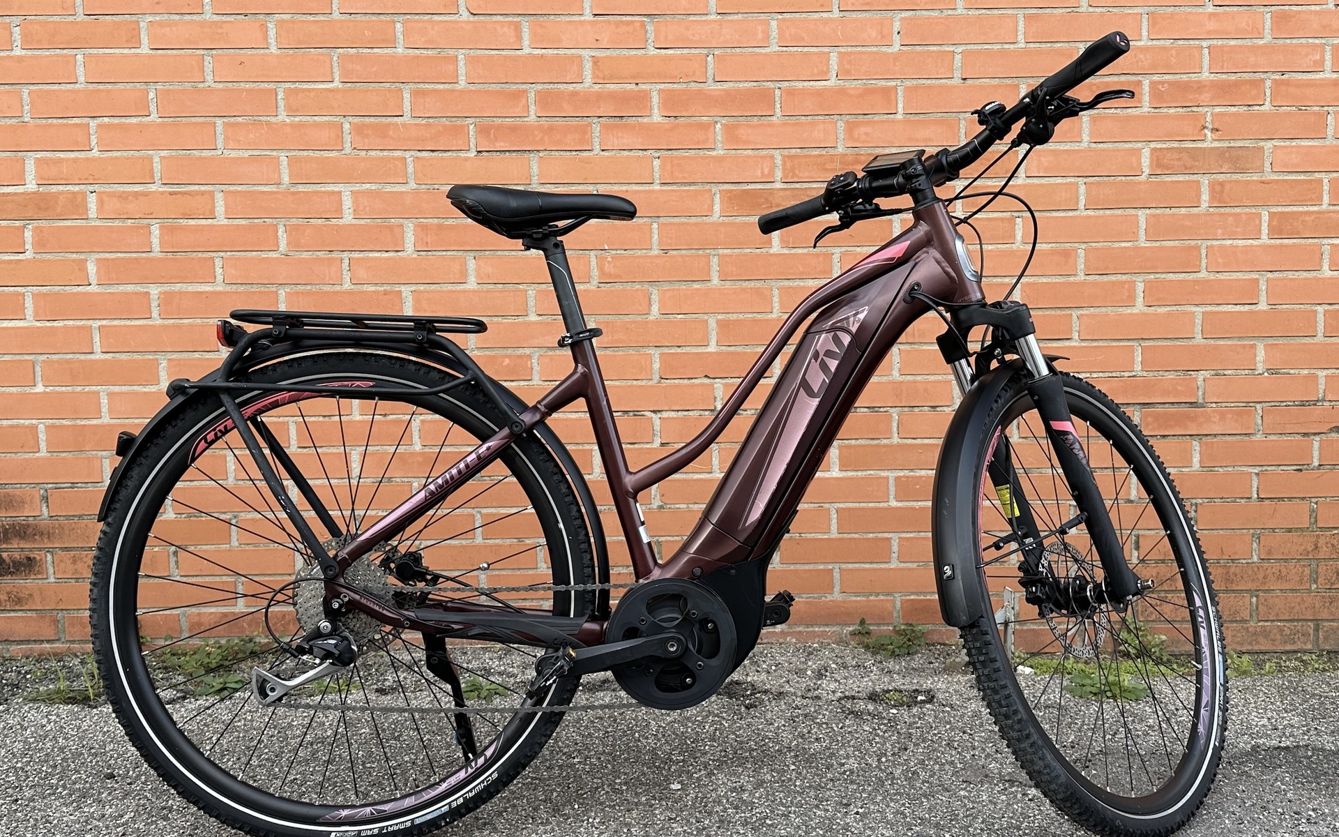 E-Bike Liv Amiti E+ 1, Usata, 2018, Pisa