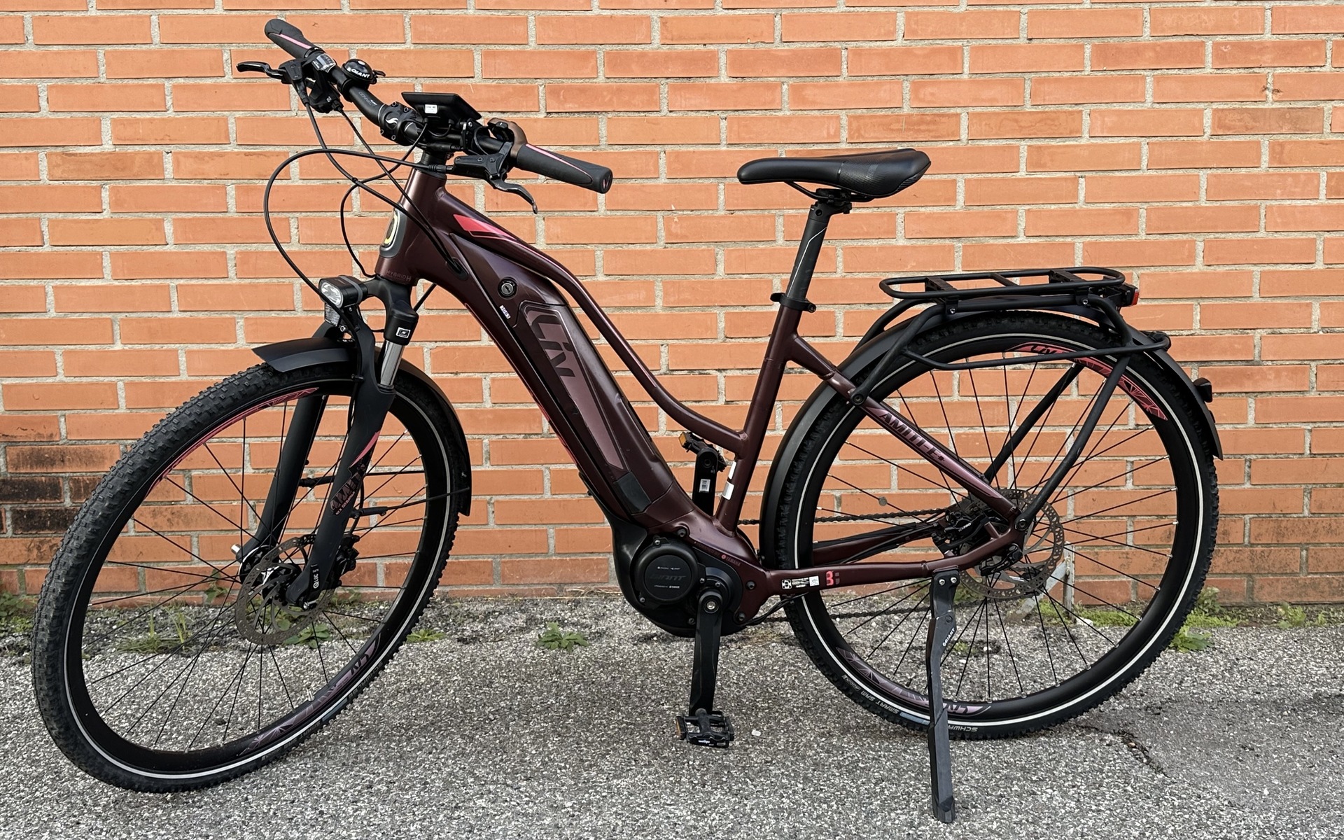 E-Bike Liv Amiti E+ 1, Usata, 2018, Pisa