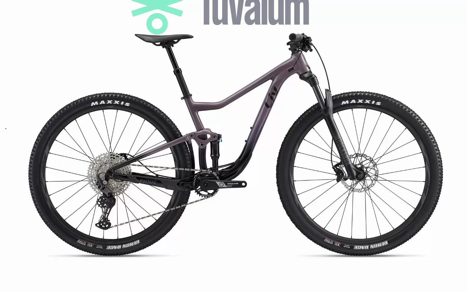 Mountain Bike Liv , Usata, 2022, Valencia