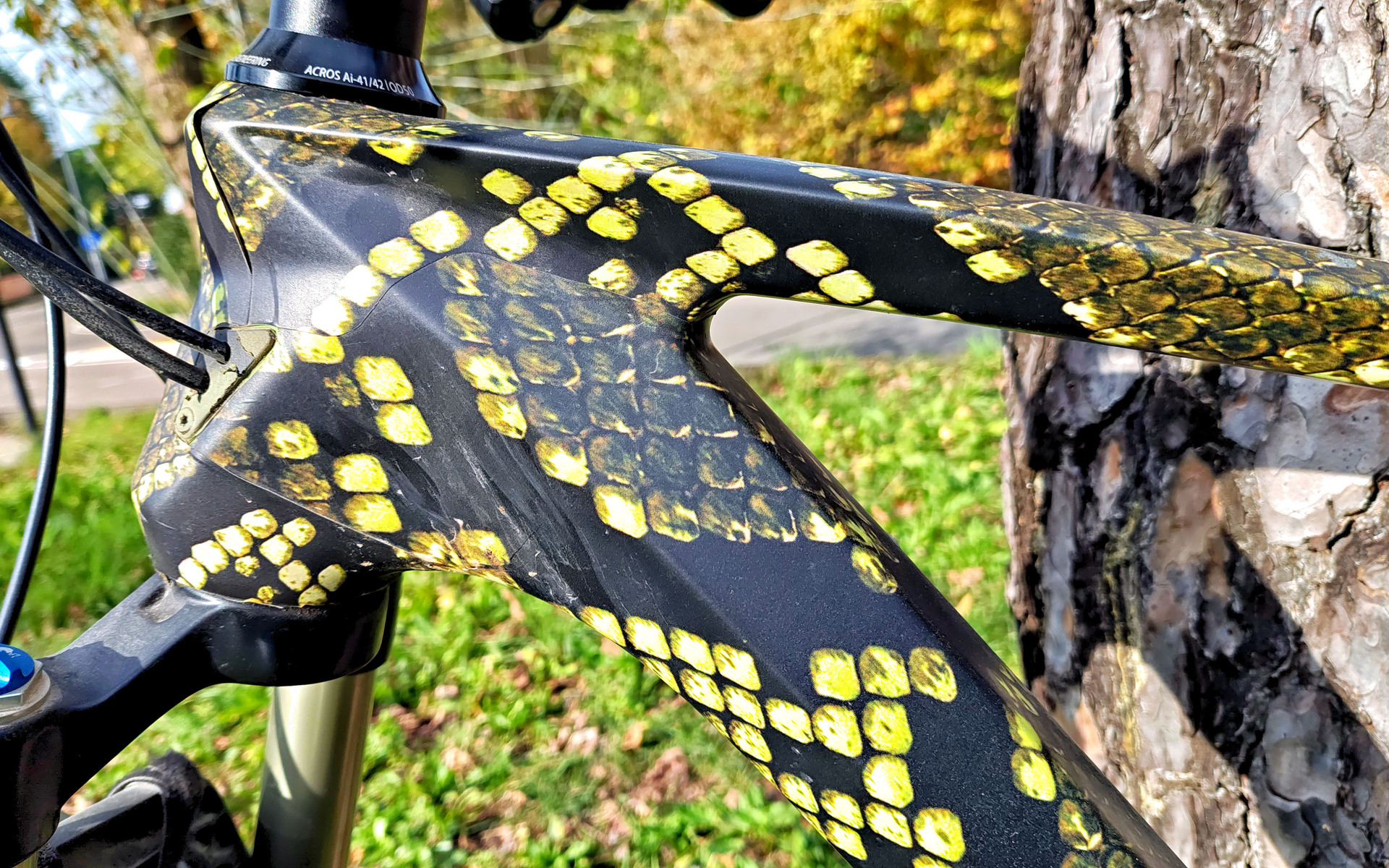 Mountain Bike Ghost Lector ULC 6, Usata, 2019, Milano