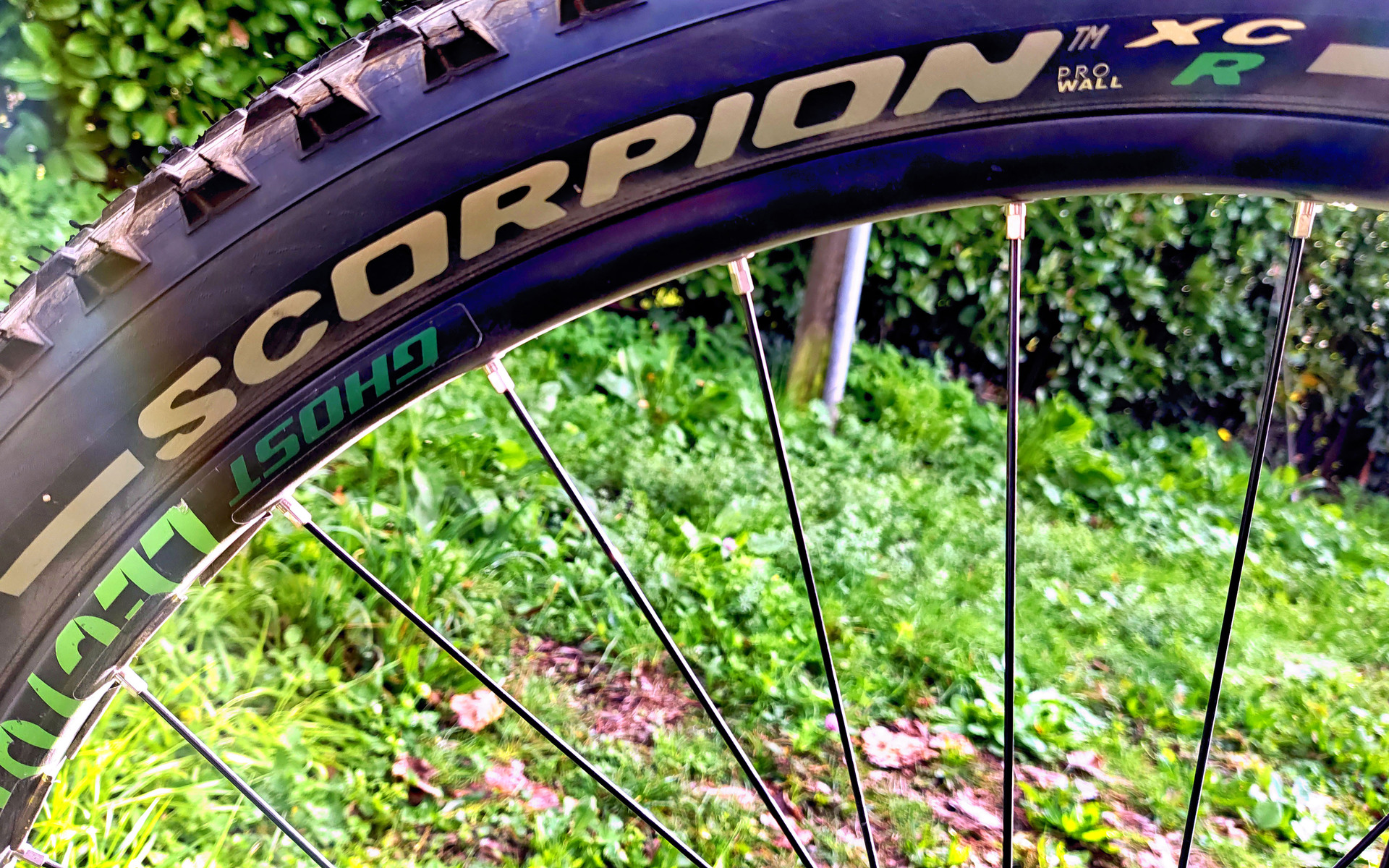 Mountain Bike Ghost Lector ULC 6, Usata, 2019, Milano