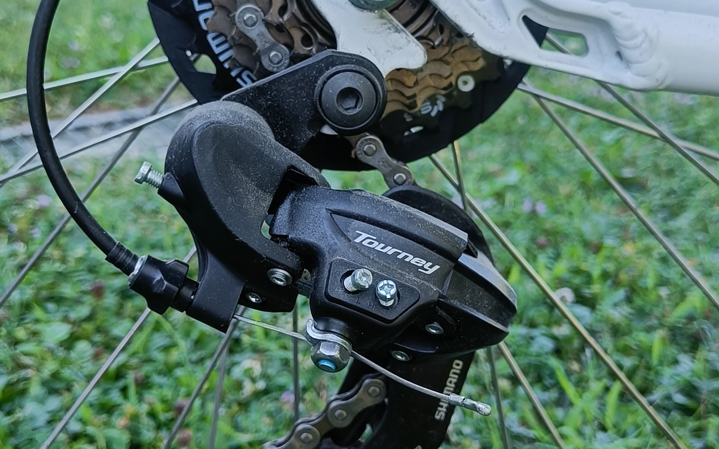 E-Bike Wayel Vento, Usata, 2021, Biella