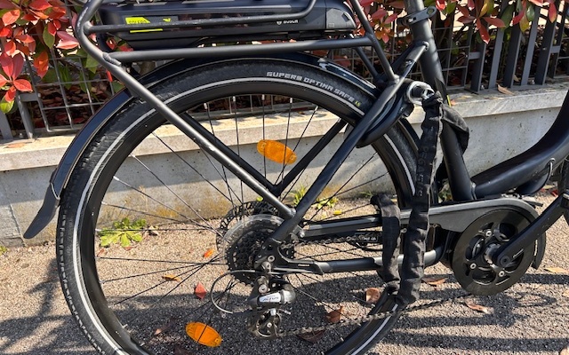 E-Bike PEGASUS  SOLERO E8, Usata, 2019, Treviso