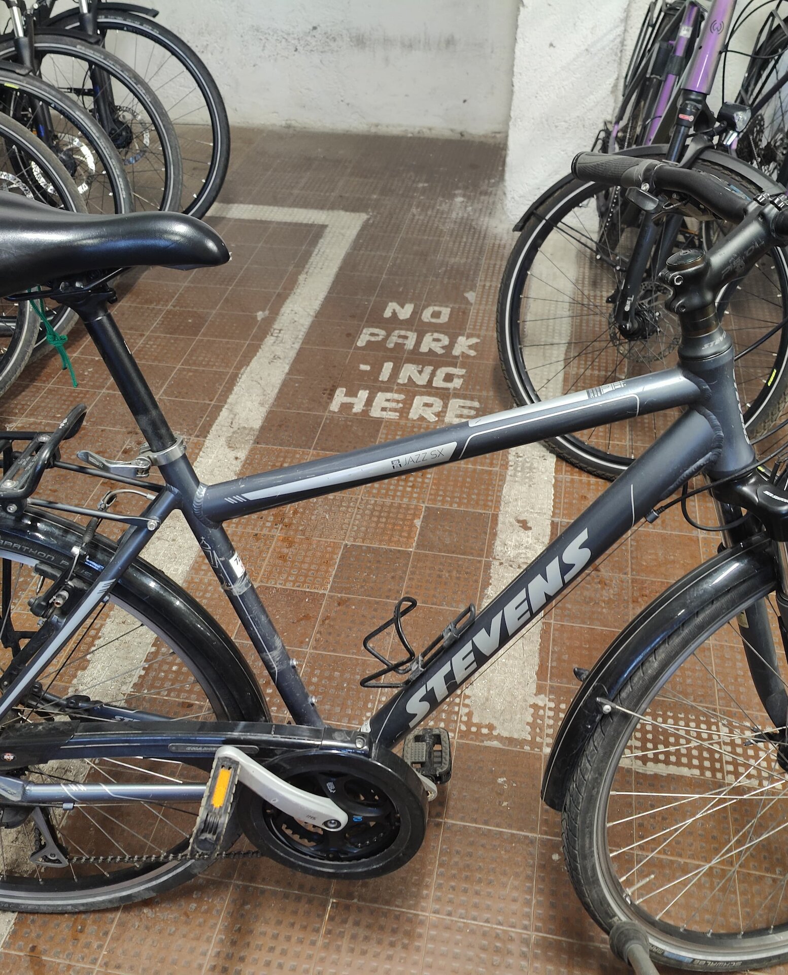 Cerca bicicletta STEVENS usata o km0