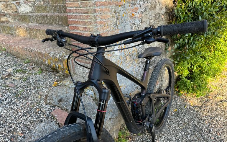 Mountain Bike Giant Trance X Pro 2 carbonio, Usata, 2021, Pisa